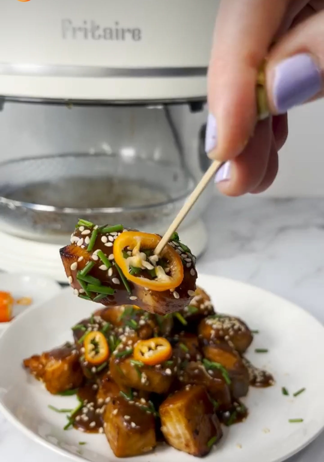 Spice Salmon Bites in your Fritaire Airfryer