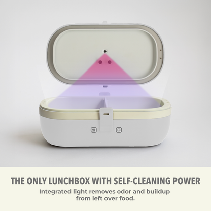 Self-Heating Lunch Box With USB-C